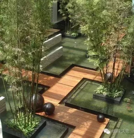 日式園林中的樹