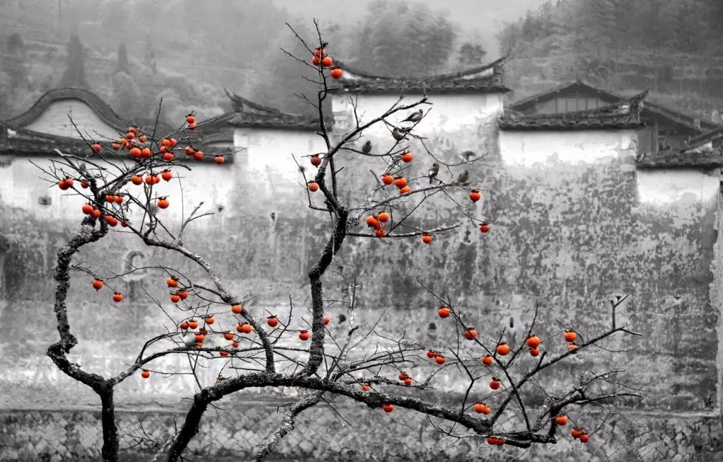 鄉村景觀:要望得見山,看得見水,記得住鄉愁。