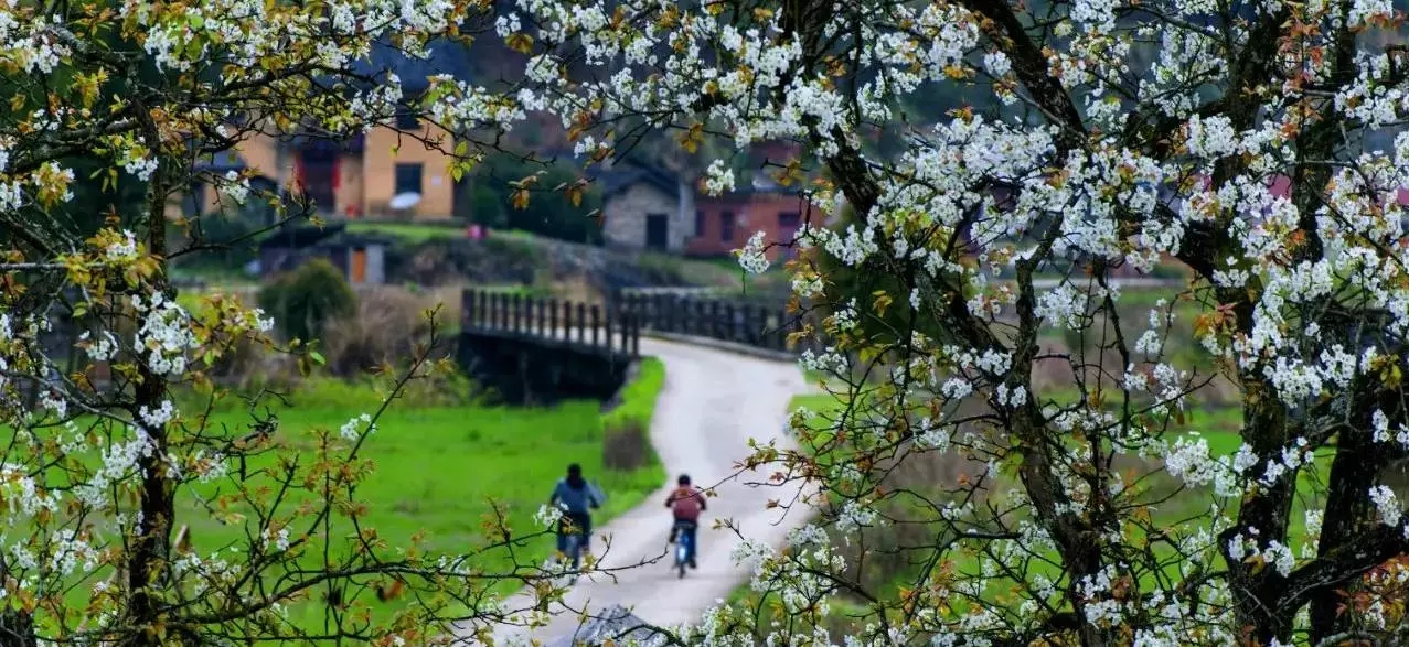 鄉村景觀:要望得見山,看得見水,記得住鄉愁。