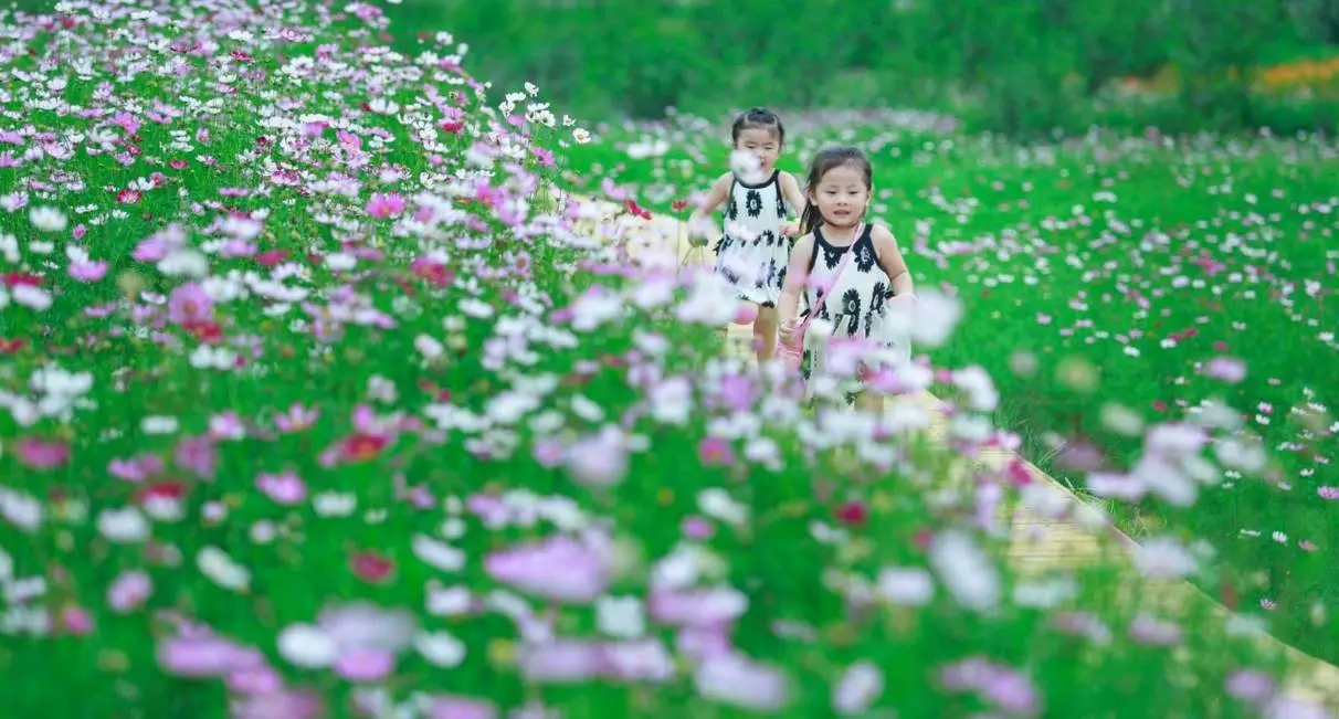 鄉村景觀:要望得見山,看得見水,記得住鄉愁。