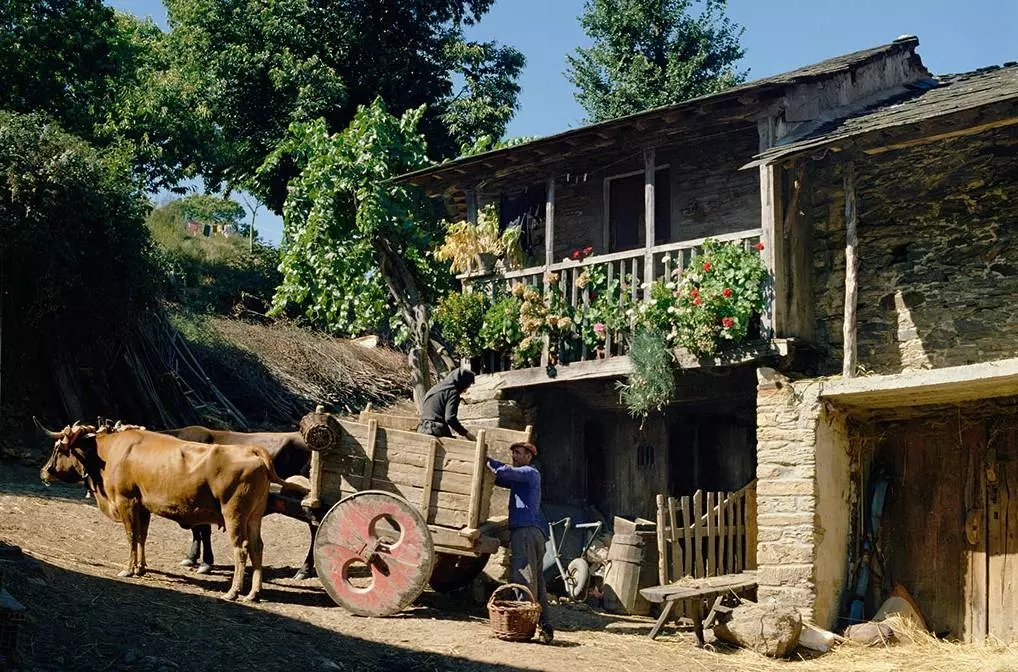 鄉村景觀：要望得見山，看得見水，記得住鄉愁。