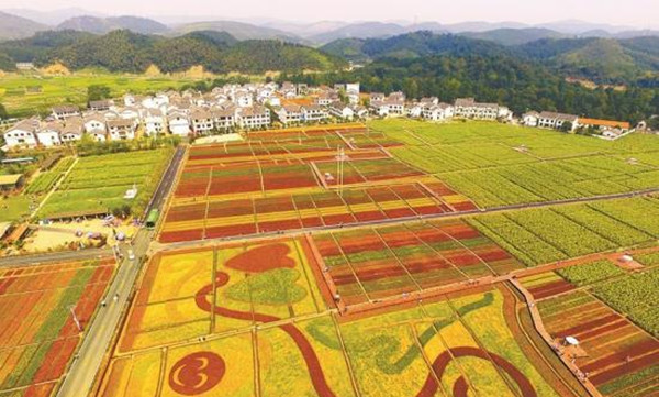 湖南郴州首屆美麗鄉(xiāng)村旅游文化節(jié)開幕