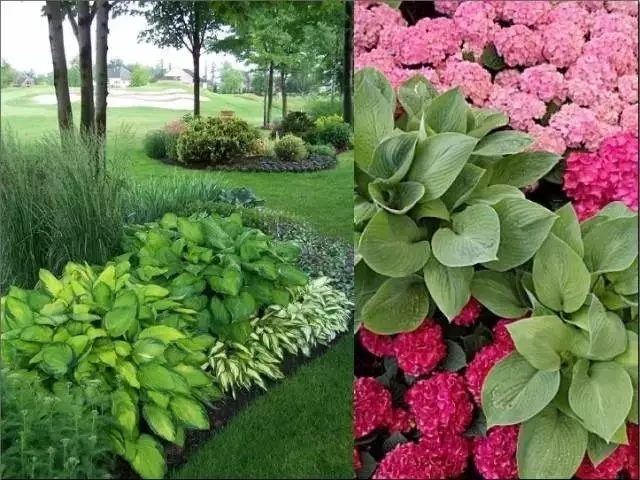 花鏡的設計方法大全