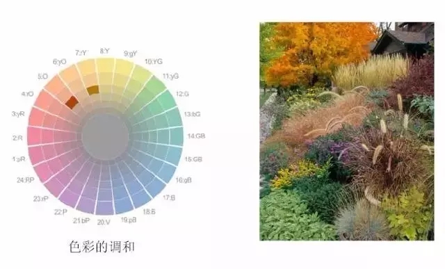 花鏡設(shè)計方法之色彩構(gòu)成