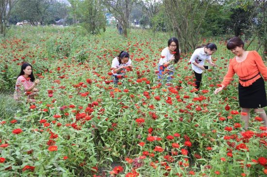 四川首個“中國農(nóng)業(yè)公園”落戶成都溫江