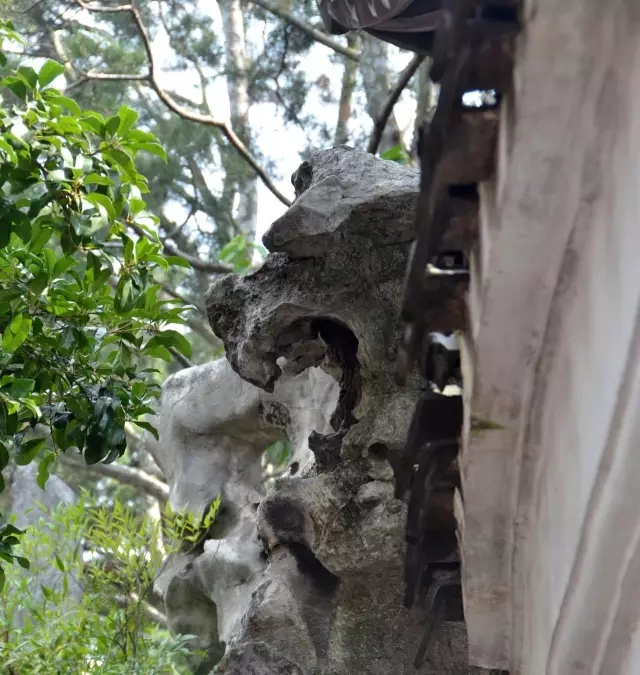 獅子林——禪意之園