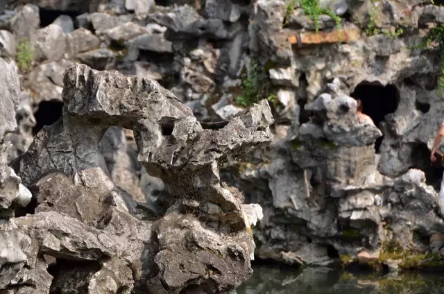 獅子林——禪意之園