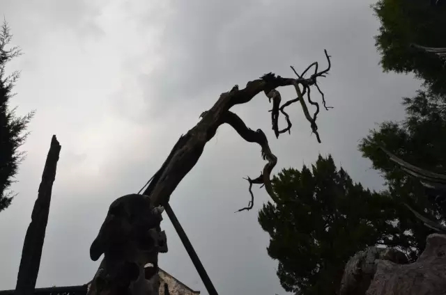 獅子林——禪意之園（中）