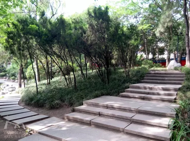 西安最好的園子考察筆記(下)