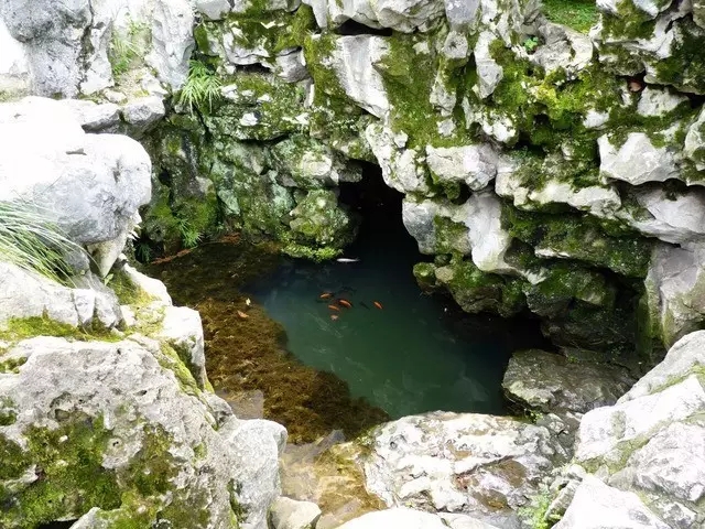 國外名氣最大的園林—網(wǎng)師園(下)