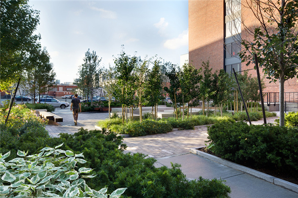 波士頓信道中心公園景觀設計