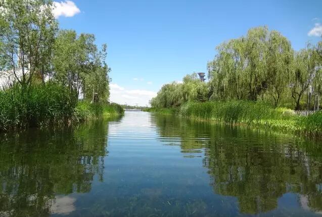愛爾斯:奧林匹克公園龍形水系生態工程