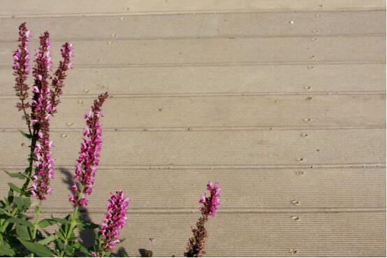 環保新材料帶來節約型園林綠化發展新途徑