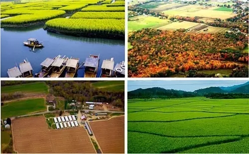 上海浦東新區(qū)大治河生態(tài)廊道專項規(guī)劃獲批