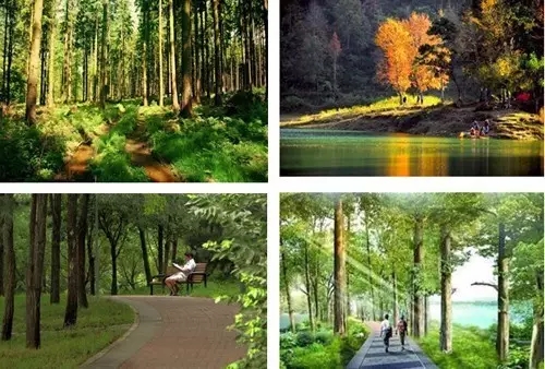 上海浦東新區(qū)大治河生態(tài)廊道專項規(guī)劃獲批