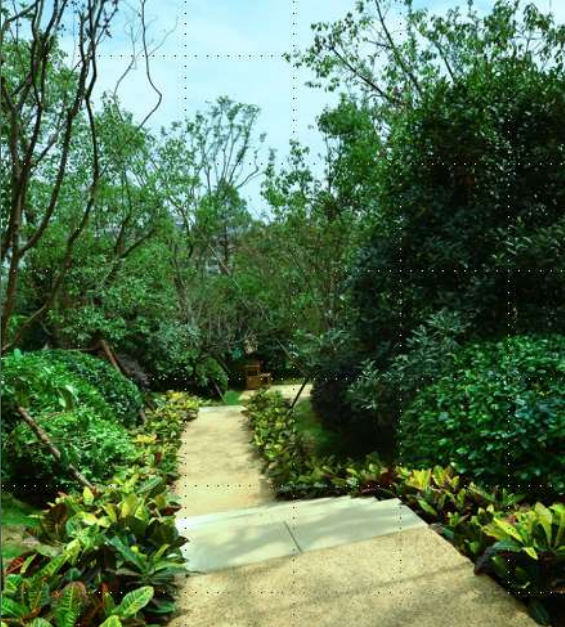 景觀工程施工管理經驗分享