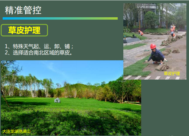 景觀工程施工管理經驗分享