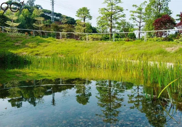 低維護生態園區：萬科研究中心