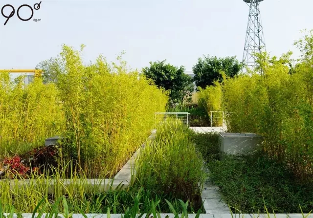 低維護生態園區：萬科研究中心