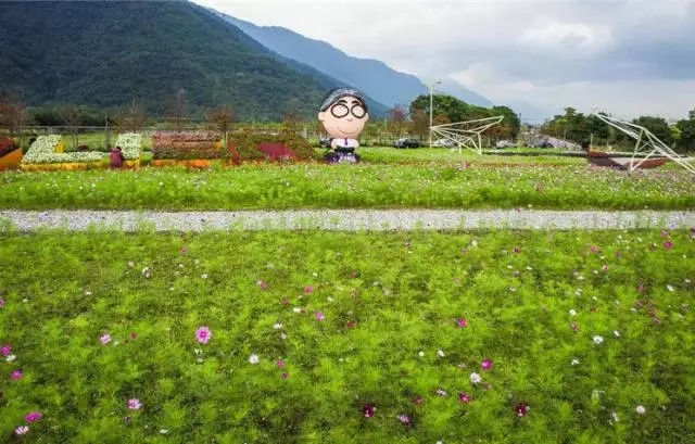 生態景觀案例——臺東花海