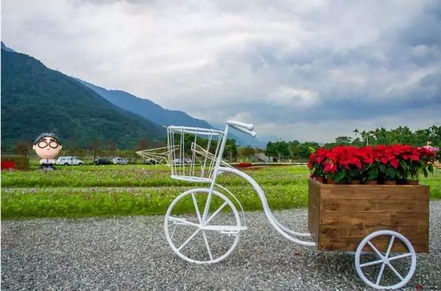 生態景觀案例——臺東花海