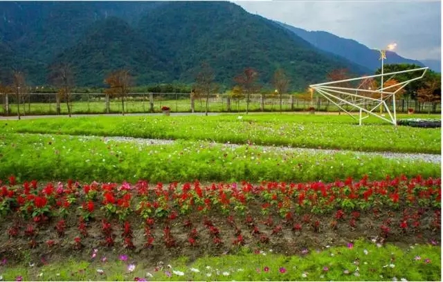 生態景觀案例——臺東花海