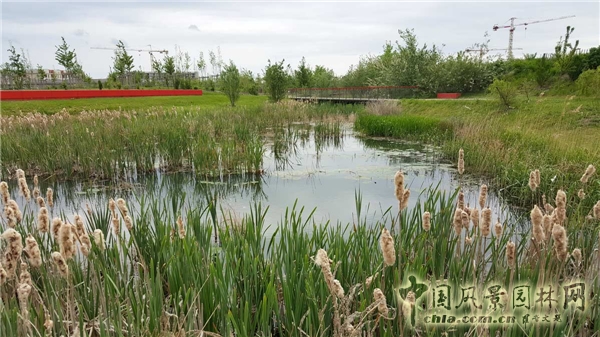 【周二頭條】法國博伊斯—巴多生態公園（多圖賞析）