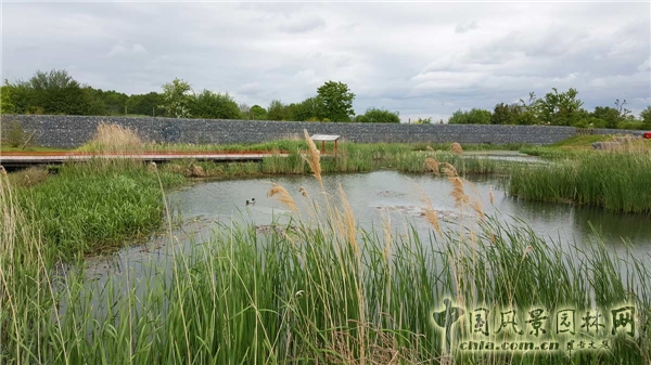 【周二頭條】法國博伊斯—巴多生態公園（多圖賞析）