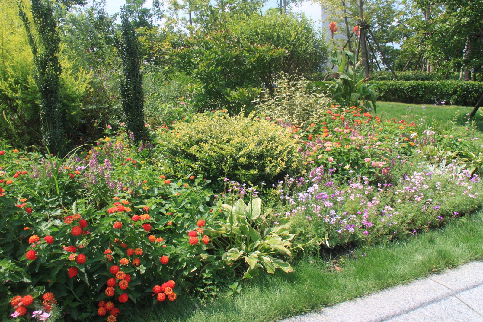 杭州園林作品展示：杭州火車東站西廣場花境