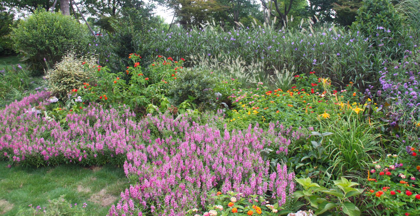 杭州園林作品展示：杭州火車東站西廣場花境