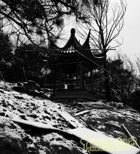 2016園冶杯專業(yè)獎(jiǎng)參賽項(xiàng)目:北辰旭輝壹號(hào)院