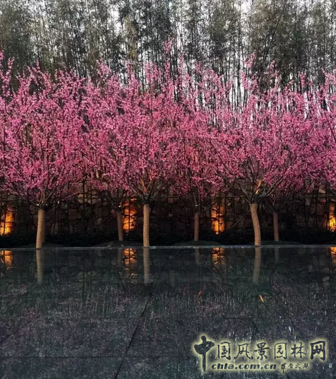 2016園冶杯專業(yè)獎(jiǎng)參賽項(xiàng)目:北辰旭輝壹號(hào)院