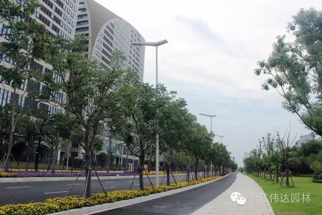 偉達園林獲G20杭州峰會服務保障突出貢獻獎