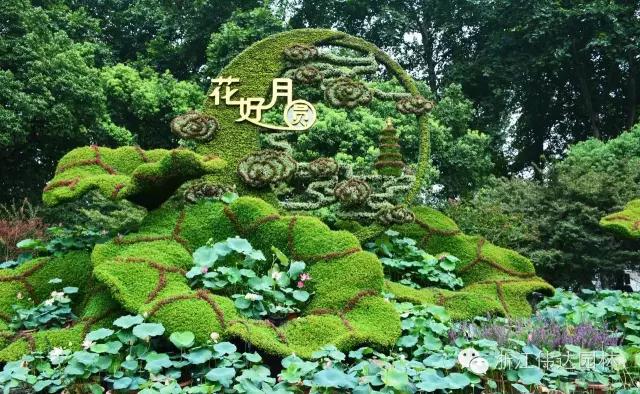 偉達(dá)園林獲G20杭州峰會(huì)服務(wù)保障突出貢獻(xiàn)獎(jiǎng)