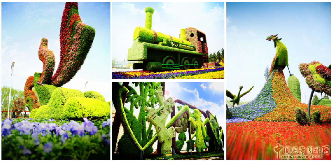 2016園冶杯專業獎參賽項目:唐山世園會綠雕
