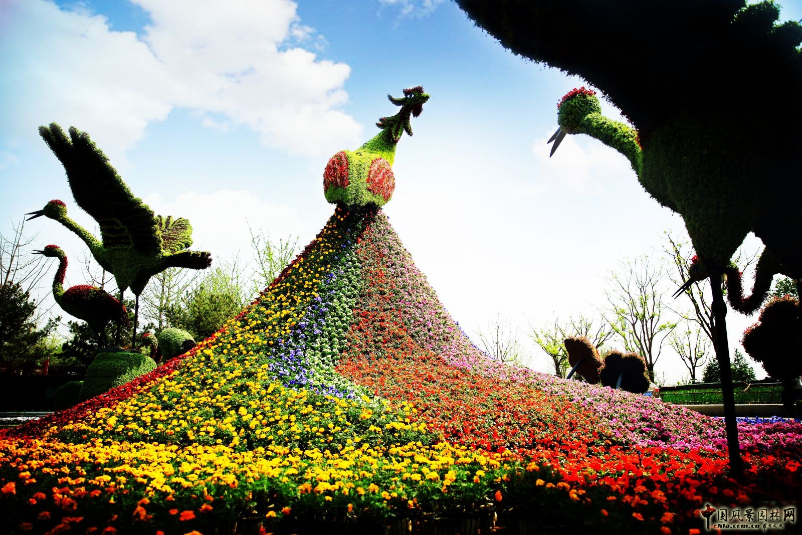 2016園冶杯專業獎參賽項目:唐山世園會綠雕