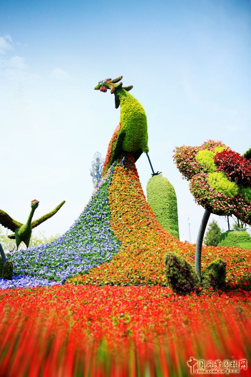 2016園冶杯專業獎參賽項目:唐山世園會綠雕