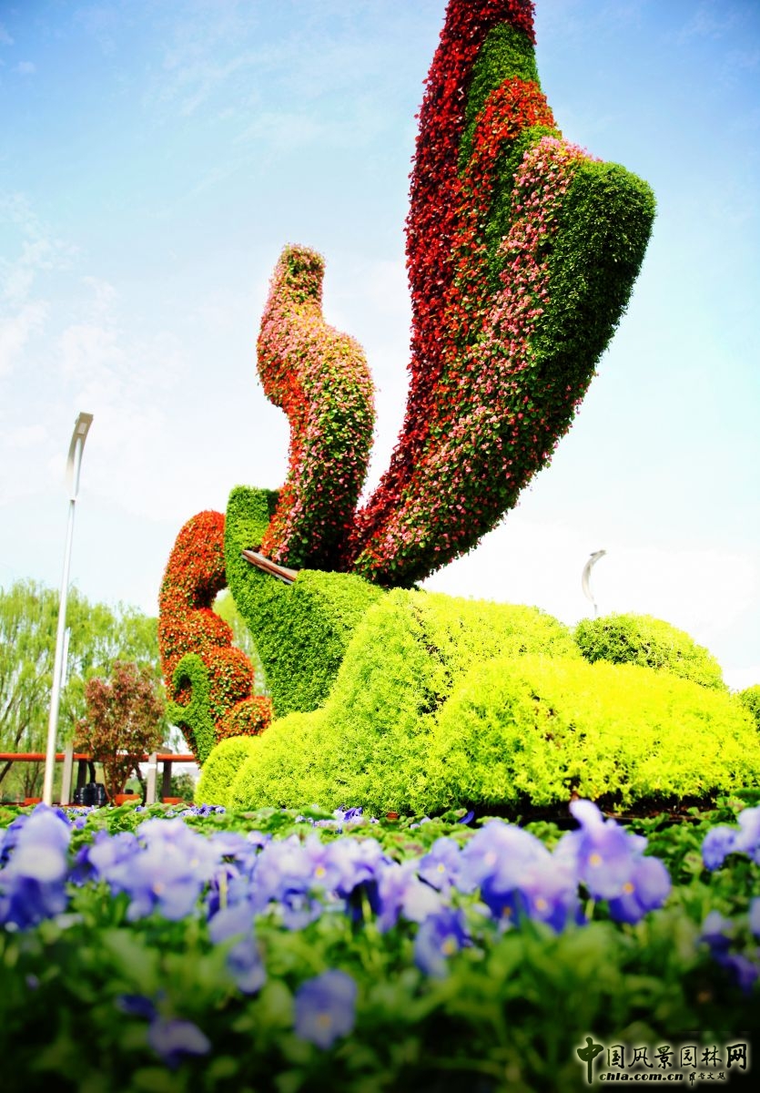 2016園冶杯專業獎參賽項目:唐山世園會綠雕