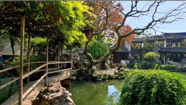 同里古鎮(zhèn)指望這個園子活著——退思園