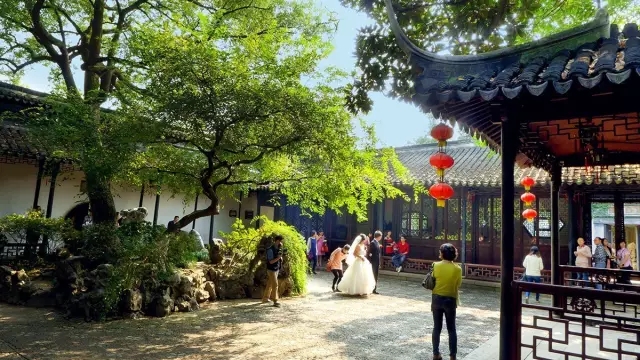 同里古鎮(zhèn)指望這個園子活著——退思園