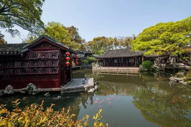 同里古鎮(zhèn)指望這個(gè)園子活著——退思園