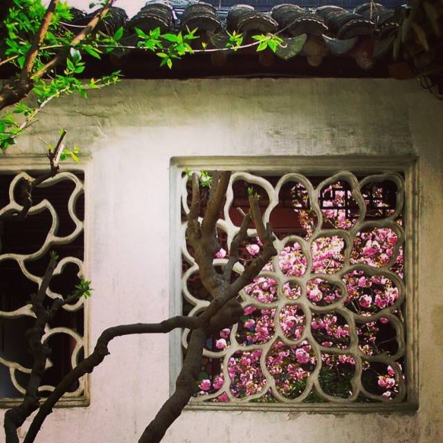 深入蘇州古典園林，感受漏窗之美！