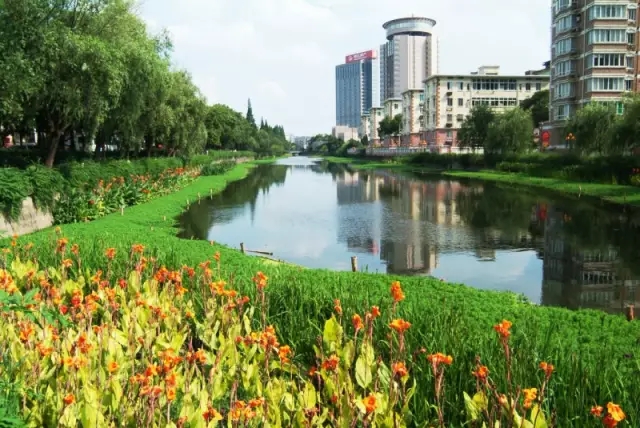 河道設(shè)計(jì)中綜合治理與恢復(fù)策略詳解