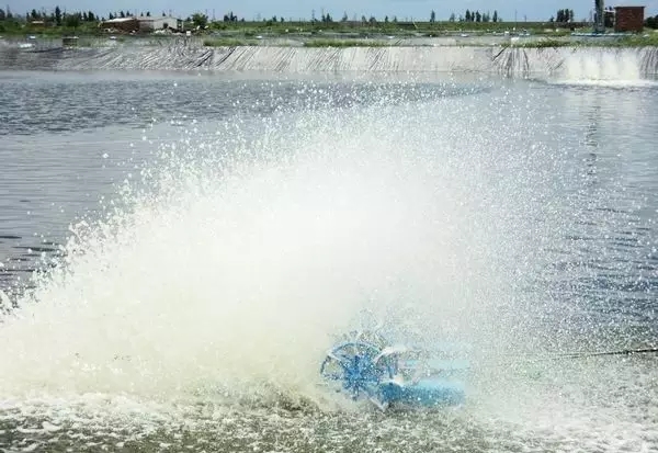 河道景觀中六大生態修復技術,你知道嗎?
