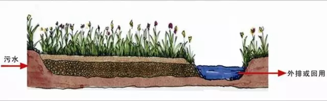 河道景觀中六大生態修復技術,你知道嗎?