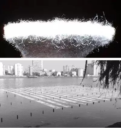 河道景觀中六大生態(tài)修復(fù)技術(shù),你知道嗎?