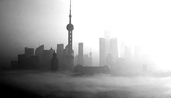 5分鐘讀懂生態智慧