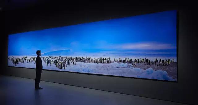 金螳螂：羅紅攝影藝術(shù)館室內(nèi)裝飾工程