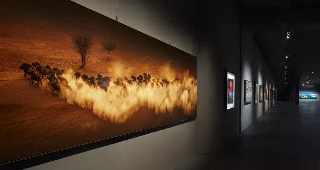 金螳螂：羅紅攝影藝術館室內裝飾工程