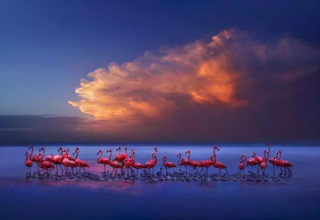 金螳螂：羅紅攝影藝術館室內裝飾工程